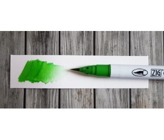 feutre Zig Clean Color Real Brush May Green