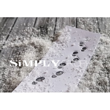 footprints in the snow dies